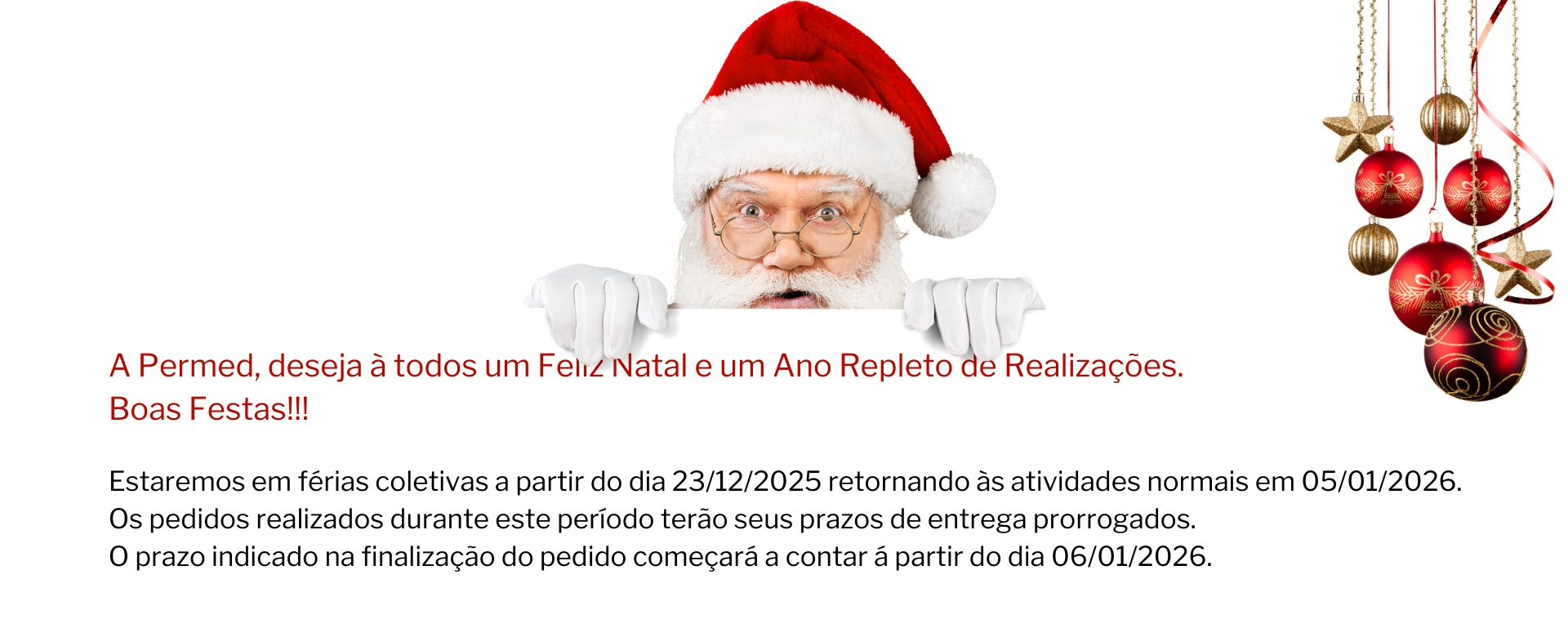 Feliz Natal e Pr�spero Ano Novo!!!