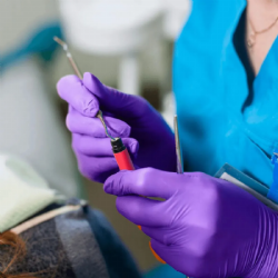 Luva de procedimento em l�tex com p� Purple c/100 Unigloves