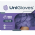 Luva de procedimento em ltex com p Purple c/100 Unigloves