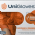 Luva de procedimento em ltex sem p Orange c/100 Unigloves